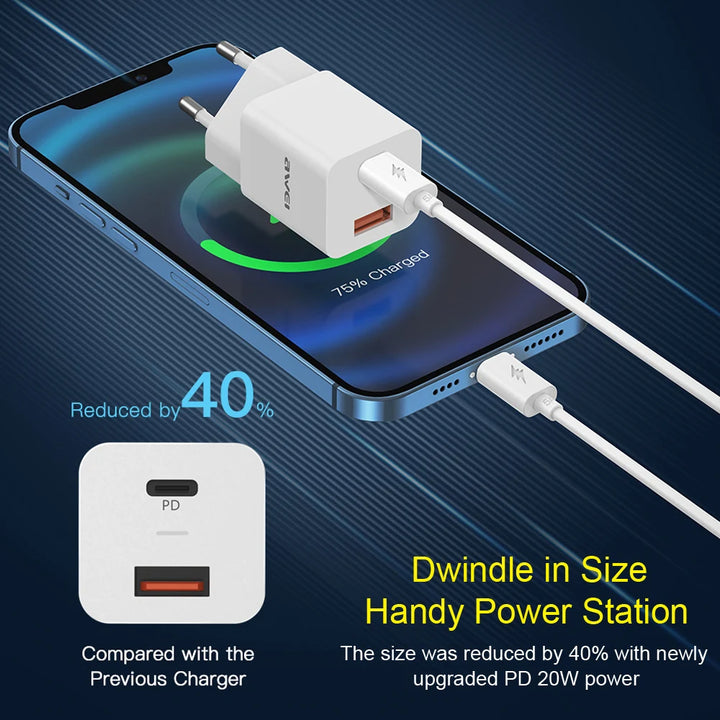 Awei Dual Port Fast Charging Wall Adapter Quick Charge PD 20W /  5A - iCase Stores